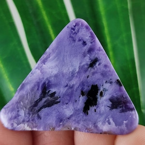 Puede incluir: Una piedra preciosa de charoíta triangular pulida. La piedra presenta un vibrante tono lavanda con llamativas inclusiones negras, creando un patrón único. La piedra preciosa se sostiene en una mano, con un fondo verde y blanco.