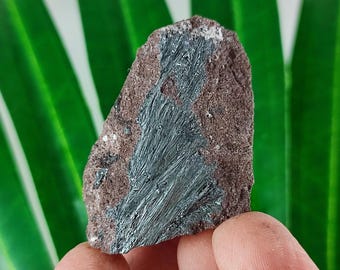 May include: A close-up of a rough, gray and brown rock with a large, silvery-gray mineral deposit. The mineral has a striated, fibrous texture.
