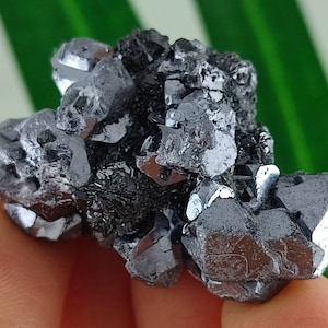 Beautiful Galena with Sphalerite from Krushev dol mine,Madan ore field,Rhodope Mts,Smolyan Oblast,Bulgaria,Minerals, Crystals, Gemstone,,N13