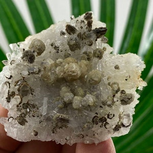Very nice Quartz Cluster from 9th September mine,Madan ore field,Rhodope Mts,Smolyan Oblast,Bulgaria,Minerals, Crystals,Gemstone,Gem,N44