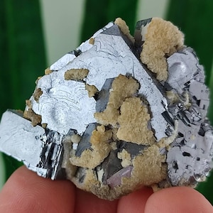 Amazing Galena,Calcite from Krushev dol mine,Madan ore field,Rhodope Mts,Smolyan Oblast,Bulgaria, Mineral,Crystal,N15