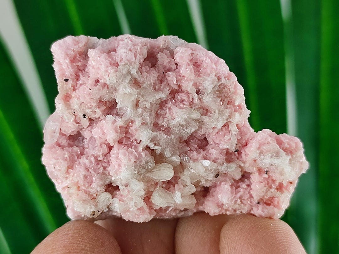 Rare Rhodochrosite With Quartz From Davidkovo Ore Filed,bulgaria,pink ...