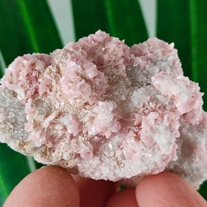 Rare Rhodochrosite with Quartz  from Davidkovo ore Filed,Bulgaria,Pink Crystal,Rodochrosite Crystal,Stone,Top Pink color