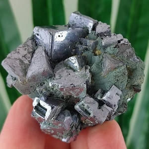 Galena,Sphalerite,Chalcopyrite from Borieva mine,Madan ore field,Rhodope Mts,Smolyan Oblast, Bulgaria,Minerals,Crystals,100% NaturalN16