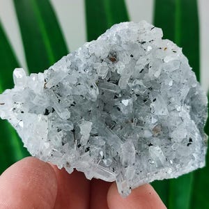 Quartz  cluster from 9th September mine,Madan ore field,Rhodope Mts, Smolyan Oblast,Bulgaria,Minerals,Natural Crystal,Home Decor N4