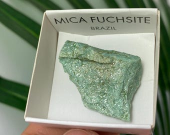 May include: A piece of Mica Fuchsite from Brazil, presented in a white box. The mineral has a textured, light green surface with shimmering, silver-colored inclusions. The box has the text "MICA FUCHSITE BRAZIL".