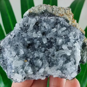Quartz  from 9th September mine,Madan ore field,Rhodope Mts, Smolyan Oblast,Bulgaria,Minerals,Natural Crystal,Home Decor N4