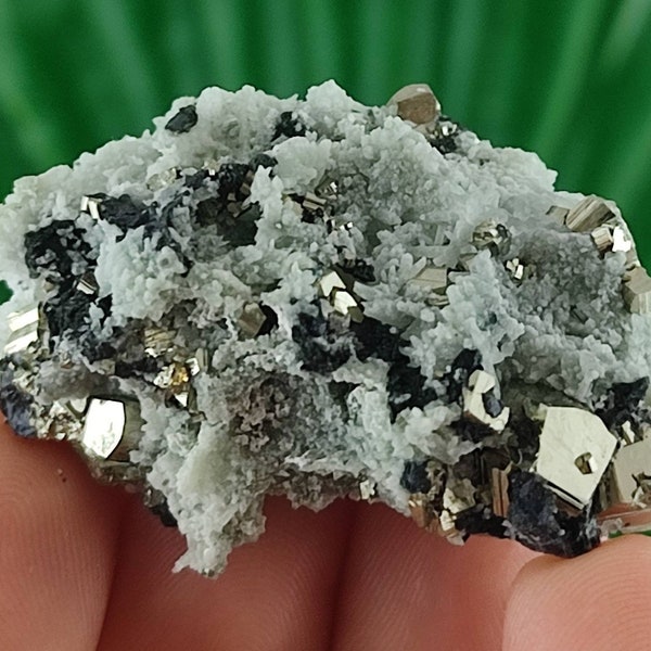 Quartz with Pyrite from 9th September mine,Madan ore field,Rhodope Mts,Smolyan Oblast,Bulgaria,Minerals, Crystals,Gemstone