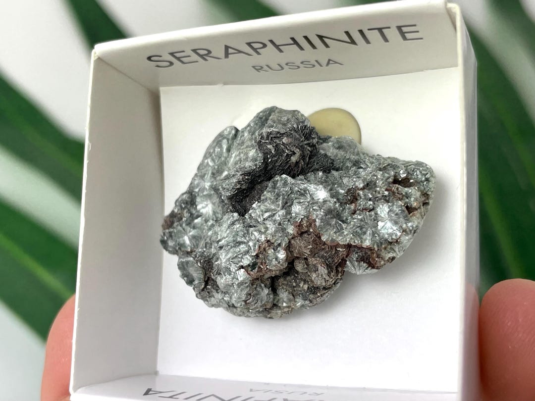 Seraphinit Natural Seraphinite From Russia – Chatoyant Green Clinochlore Stone ...