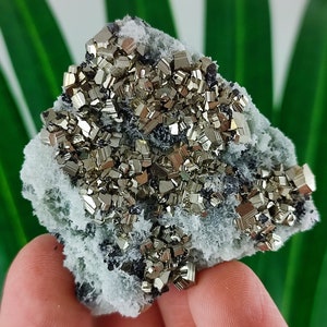 Wonderful Quartz and Pyrite from Borieva mine,Madan ore field,Rhodope Mts,Smolyan Oblast,Bulgaria,Minerals,Crystals,Specimens,Natural,N23