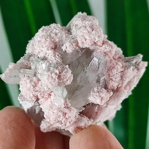 Rare Rhodochrosite with Quartz  from Davidkovo ore Filed,Bulgaria,Pink Crystal,Rodochrosite Crystal,Stone,Top Pink color