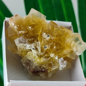 Yellow Fluorite from Spain,Mineral Specimen,Yellow Fluorite,Fluorite from Spain,Collection,Fluorite Collectors,Fluorite,N107