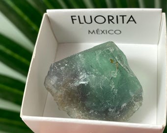 Fluorit: Mexiko, Mineralien, grüner Fluorit, Fluorit aus Mexiko, Sammlung, Fluoritsammler, Kristallfluorit,