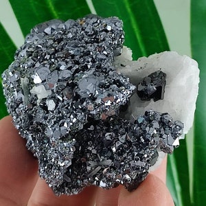 Galena with Calcite from Borieva mine,Madan ore field,Rhodope Mts,Smolyan Oblast,Bulgaria,Mineral,Crystal,Home DecorN14