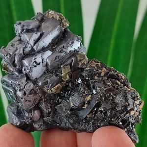 INCREDIBLE Sphalerite with Galena and Chalcopyrite from Krushev dol mine,Madan ore field,Rhodope Mts,Smolyan Oblast,Bulgaria,N17
