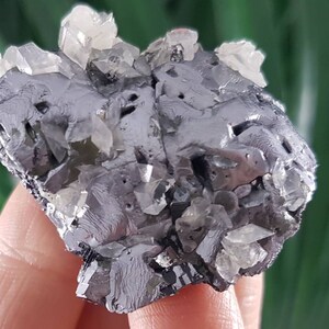 May include: A cluster of gray galena crystals with clear quartz crystals. The galena crystals have a metallic luster and are intergrown with the quartz crystals.