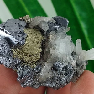 Quartz with Galena and Chalcopyrite from 9th Septemvri mine (Deveti Septemvri mine),Madan ore field,Rhodope Mts,Smolyan Oblast,BulgariaN22
