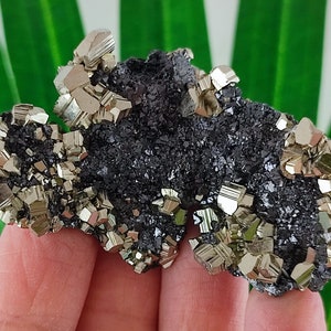 Sphalerite with Pyrite from 9th September mine,Madan ore field,Rhodope Mts,Smolyan Oblast,Bulgaria,Minerals,Crystals,N24