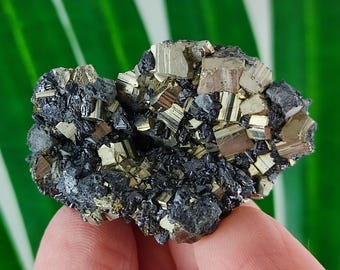 May include: A cluster of pyrite crystals, also known as fool's gold, with a metallic gold and silver luster. The crystals are embedded in a dark gray matrix. The mineral specimen is held in a hand.