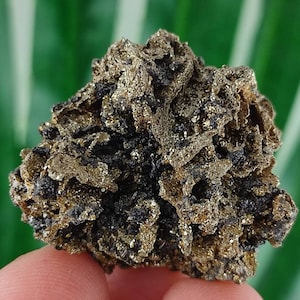 Rare Pyrite-Pyrrhotite from Borieva mine,Madan ore field,Rhodope Mts,Smolyan Oblast,Bulgaria,Rare Crystal, Bulgarian Minerals,Galena,N18