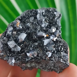 Beautiful Galena with Sphalerite from Krushev dol mine,Madan ore field,Rhodope Mts,Smolyan Oblast,Bulgaria,Minerals, Crystals, Gemstone,,N13