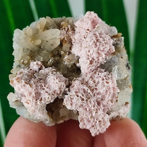 Rare Rhodochrosite with Quartz  from Davidkovo ore Filed,Bulgaria,Pink Crystal,Rodochrosite Crystal,Stone,Top Pink color