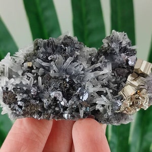 Quartz with Sphalerite,Galena,Pyrite   from Krushev Dol mine,Madan ore field,Rhodope Mts,Smolyan Oblast, Bulgaria,Minerals,,100% NaturalN38