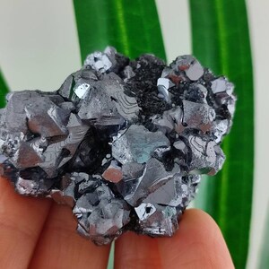 Amazing Galena with Sphalerite from Krushev dol mine,Madan ore field,Rhodope Mts,Smolyan Oblast,Bulgaria,Minerals, Crystals, Gemstone,N13