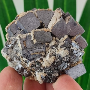 INCREDIBLE Sphalerite with Galena and Calcite  from Krushev dol mine,Madan ore field,Rhodope Mts,Smolyan Oblast,Bulgaria,N11