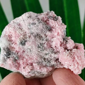 Rare Rhodochrosite with Quartz  from Davidkovo ore Filed,Bulgaria,Pink Crystal,Rodochrosite Crystal,Stone,Top Pink color