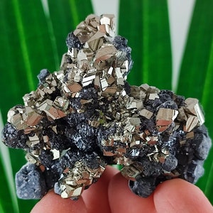 Amazing Golden Pyrite,Sphalerite,Galena from Borieva mine,Madan ore field,Rhodope Mts,Smolyan Oblast, Bulgaria, Minerals,Crystals,N11