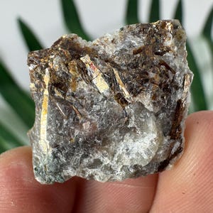 Puede incluir: Un espécimen mineral en bruto de forma irregular. La piedra presenta una mezcla de gris y blanco, con vetas doradas y marrones. La superficie tiene una apariencia texturizada, con estructuras cristalinas visibles. El espécimen se sostiene en una mano.