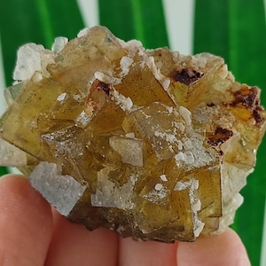 Yellow Fluorite with Pyrite from Spain,Mineral Specimen,Yellow Fluorite,Fluorite from Spain,Collection,Fluorite Collectors,Fluorite,