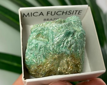May include: A vibrant green Mica Fuchsite specimen from Brazil, presented in a white box. The mineral has a textured, layered appearance with hints of gold and a shimmering quality. The box has the words "MICA FUCHSITE" printed on it.