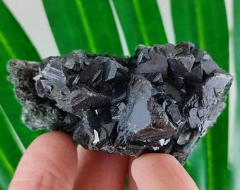May include: A dark, crystalline mineral specimen with a complex, geometric structure. The mineral is a deep black color, with some areas reflecting light. The specimen is held against a backdrop of green leaves.
