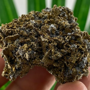 Rare Pyrite-Pyrrhotite from Borieva mine,Madan ore field,Rhodope Mts,Smolyan Oblast,Bulgaria,Rare Crystal, Bulgarian Minerals,Galena,N21