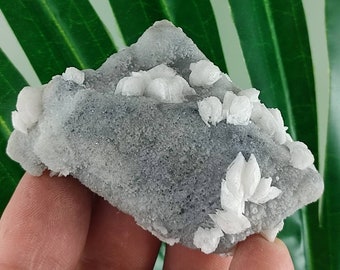 Amazing Calcite on Chalcedony from Krushev dol mine,Madan ore field,Rhodope Mts,Smolyan Oblast,Bulgaria,Minerals, Crystals, Gemstone,N50