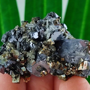 INCREDIBLE Galena with pyrite,Quartz and Sphalerite from Borieva mine,Madan ore field,Rhodope Mts,Smolyan Oblast,Bulgaria,N17