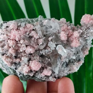 Rare Rhodochrosite with Quartz  from Davidkovo ore Filed,Bulgaria,Pink Crystal,Rodochrosite Crystal,Stone,Top Pink color