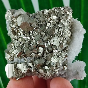 Incredible Pyrite with Quartz  from Krushev dol mine,Madan ore field,Rhodope Mts,Smolyan Oblast,Bulgaria,Minerals,Gemstone,N24
