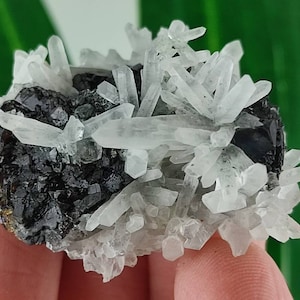 Quartz with Sphalerite from Borieva mine,Madan ore field,Rhodope Mts,Smolyan Oblast, Bulgaria,Minerals,Crystals,Specimens,Natural,N53