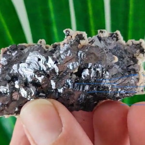 Beautiful Galena with Calcite from Krushev dol mine,Madan ore field,Rhodope Mts,Smolyan Oblast,Bulgaria,Minerals,CrystalsN22