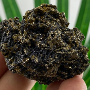 Rare Pyrite-Pyrrhotite from Borieva mine,Madan ore field,Rhodope Mts,Smolyan Oblast,Bulgaria,Rare Crystal, Bulgarian Minerals,Galena,N20