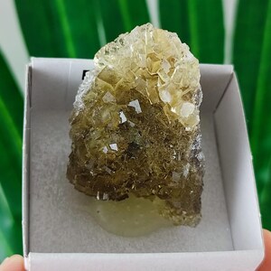 Yellow Fluorite from Spain,Mineral Specimen,Yellow Fluorite,Fluorite from Spain,Collection,Fluorite Collectors,Fluorite,N107