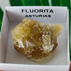 Yellow Fluorite from Spain,Mineral Specimen,Yellow Fluorite,Fluorite from Spain,Collection,Fluorite Collectors,Fluorite,N107