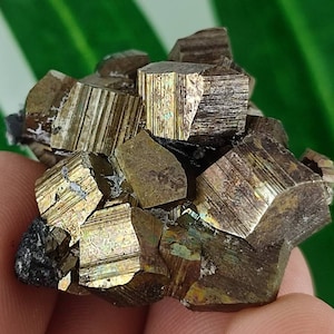 Beautiful Pyrite from Krushev dol mine,Madan ore field,Rhodope Mts,Smolyan Oblast,Bulgaria,Minerals,Crystals,Specimens,N10