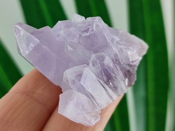 Very nice Amethyst from Djurkovo mine,Laki,Bulgaria,Natural Crystal,Home Decor,Energy Crystal,Cluster,Bulgarian Minerals and Crystals