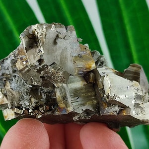 Amazing Rare Crystallisation Pyrite from Borieva mine,Madan ore field,Rhodope Mts,Smolyan Oblast, Bulgaria, Minerals, Crystals,Specimens,N9