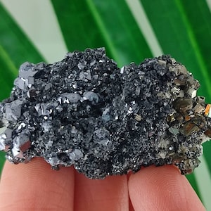 Beautiful Pyrite and Galena from Borieva mine,Madan ore field,Rhodope Mts,Smolyan Oblast, Bulgaria, Minerals,Crystals,Specimens,Galena,N25