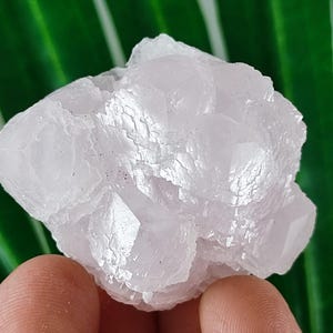 Aesthetic Fluorescent Mangano Calcite from  Krushev dol mine,Madan ore field,Rhodope Mts,Smolyan Oblast,Bulgaria, Mineral,Crystal,N8